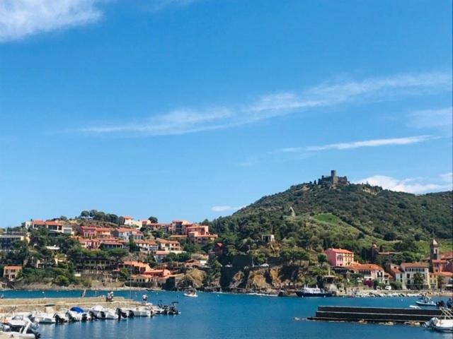 Villa Confort Et Cosy 20 Minutes D'Espagne Plage dʼArgelès Eksteriør bilde