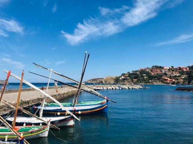 Villa Confort Et Cosy 20 Minutes D'Espagne Plage dʼArgelès Eksteriør bilde